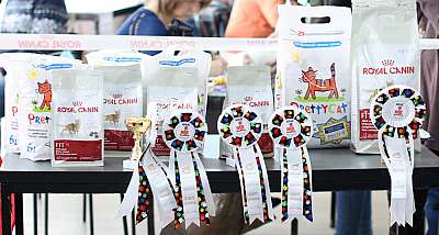 �������� ����� '���-�����-������' 22-23 ������ 2014 169A7810 copy.jpg